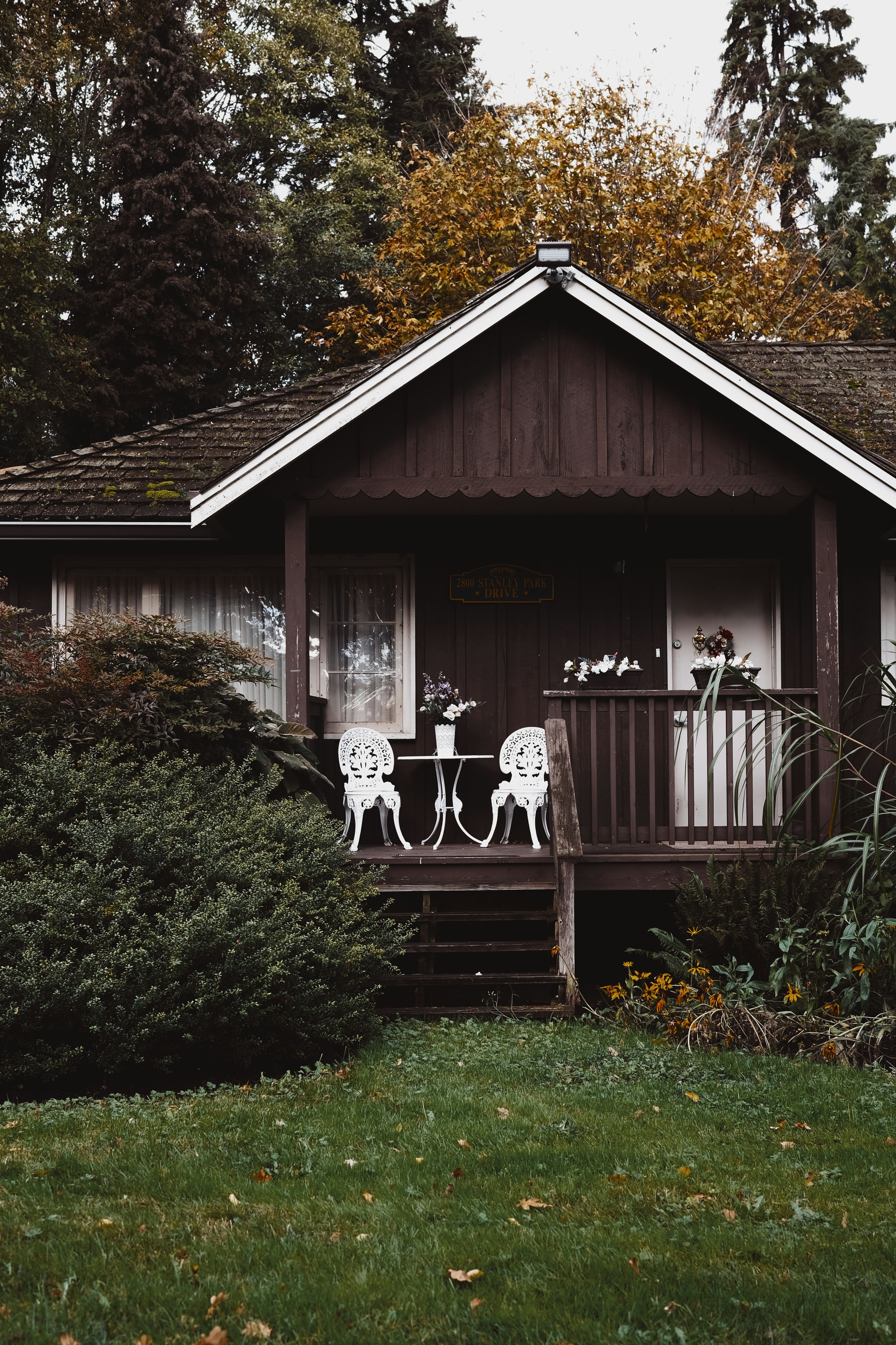 brown wooden house surrounded by green plants